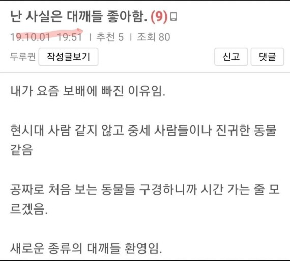  정치병 타파한썰