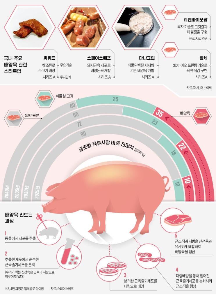 미래 고기시장, 배양육 산업