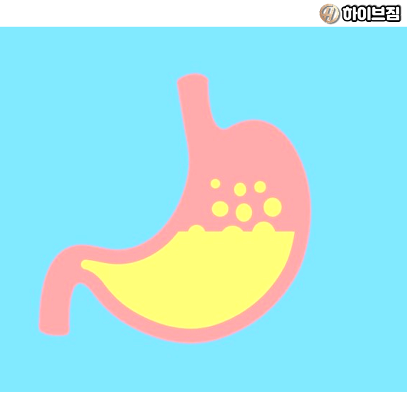 [인천서구피티 하이브짐] 단백질 4