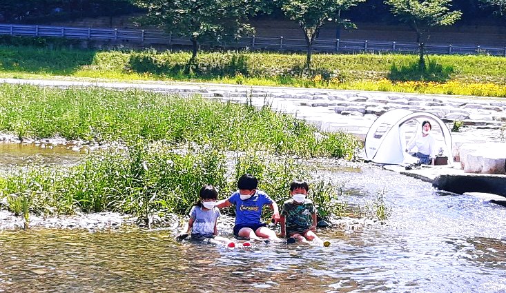  [일상] 하천 '생이새우' 잡으러 가다