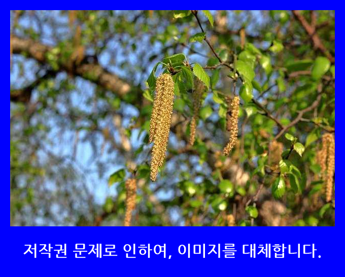 에몬스 킹K 휴레스트 투매트리스 침대, 색상아이보리 (9934bf0a-ac3e)