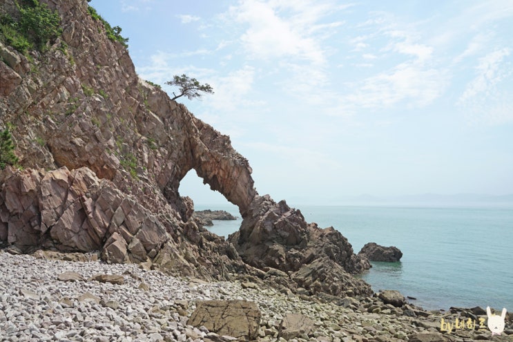 서산 가볼만한곳 황금산 몽돌해변, 코끼리바위 서산 바다 명소