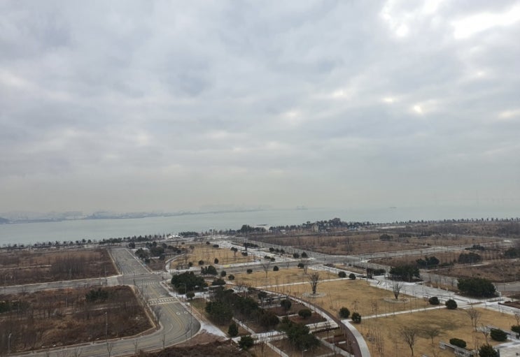  어제 엄마가 찍은 사진