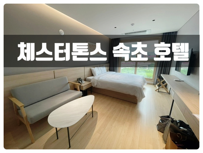  속초 체스터톤스 호텔 신축 수영장 가족 숙소