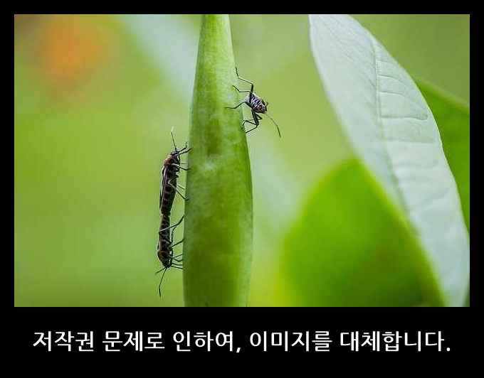 에몬스 킹K 휴레스트 투매트리스 침대, 색상아이보리 (b5678eb2-2bdf)