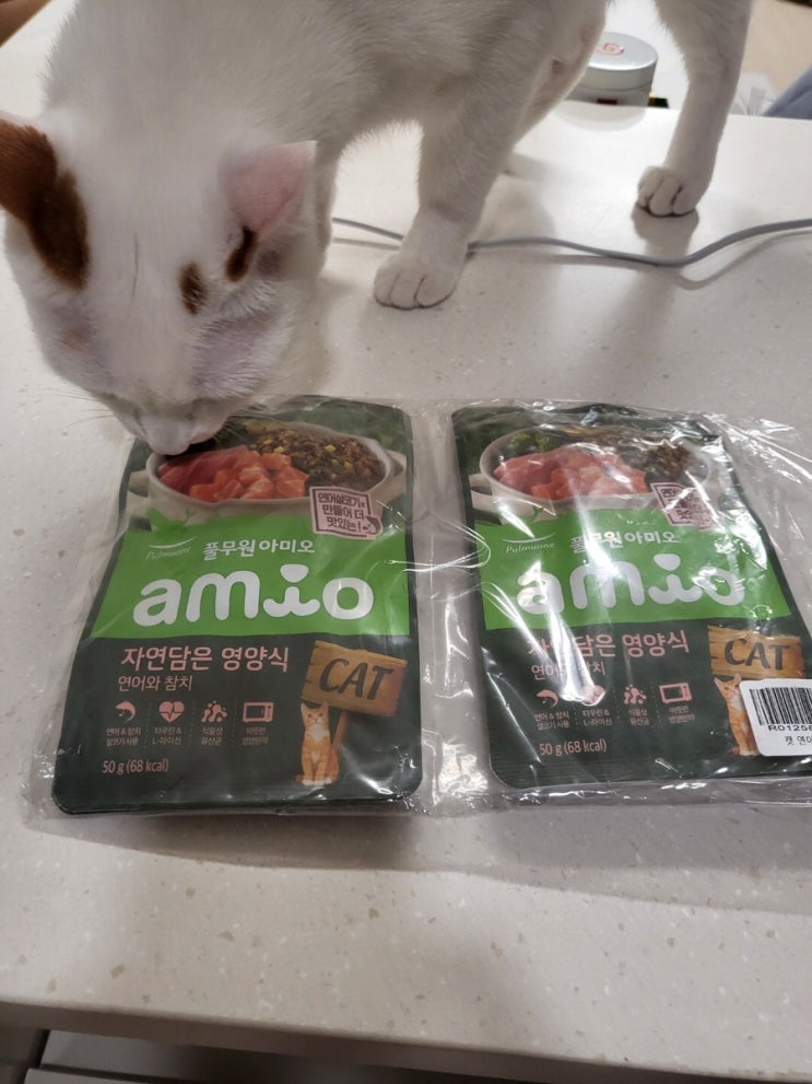 [쿠팡체험단] 풀무원아미오 고양이 자연담은영양식 연어와 참치 습식사료