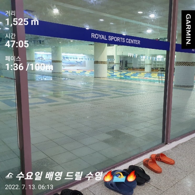  [수영일기] 7월 13일 배영 물잡기!