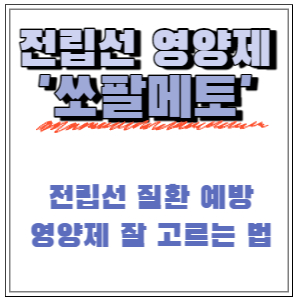  쏘팔메토의 효능, 부작용, 전립선에 좋은 음식