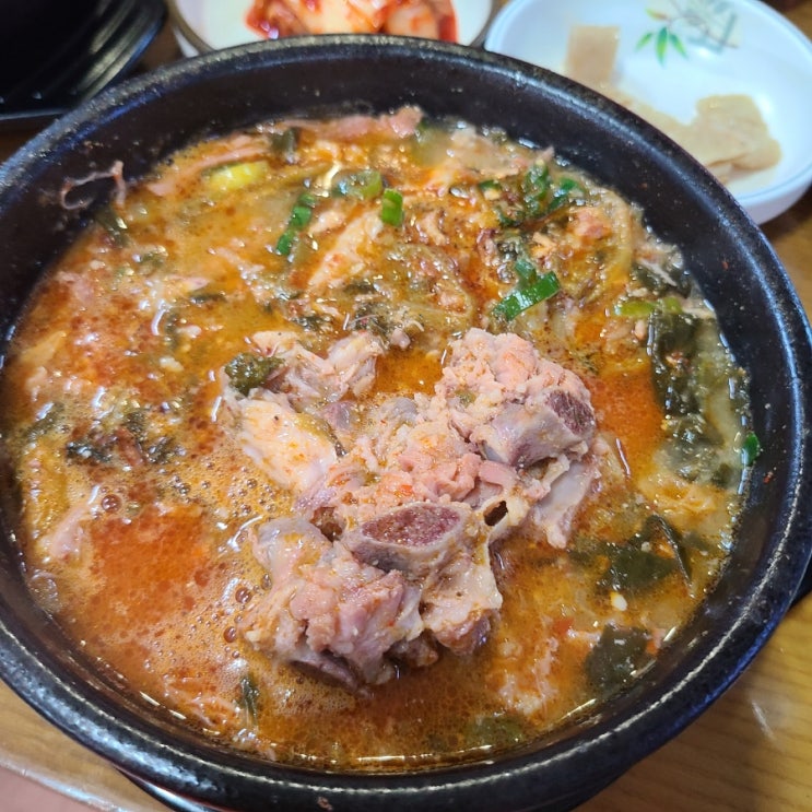 [여수 이순신광장 맛집] 아침 점심 식사로 좋은 유정해장국(feat. 바다김밥)