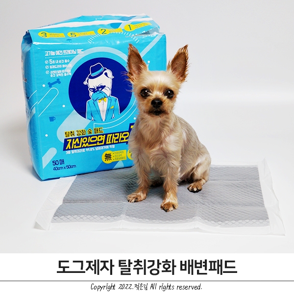 도그제자 흡수력 짱짱 강아지 배변패드 추천 도그제자 흡수력 짱짱 강아지 배변패드 추천