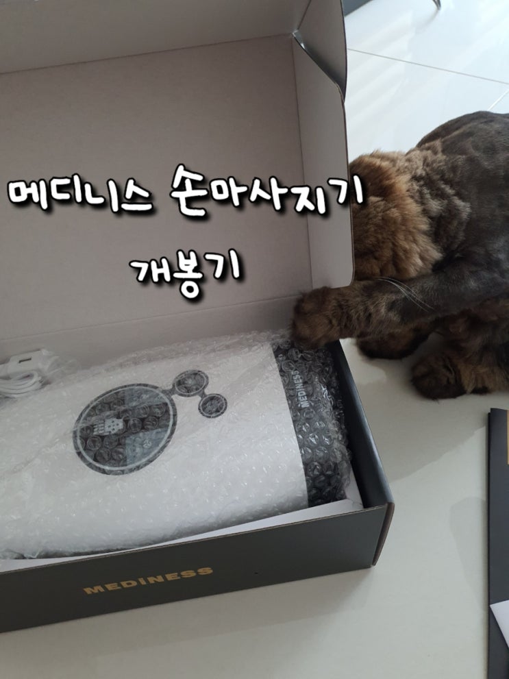  내돈내산_메디니스 손마사지기 구매후기_장단점