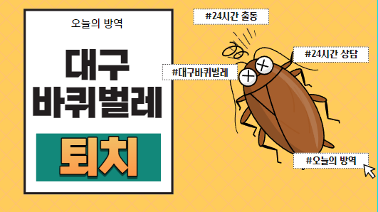 대구방역업체 대구바퀴벌레퇴치 김천바퀴벌레퇴치 패스트블랙 리뷰_친절하고 꼼꼼했어요