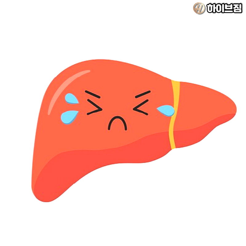 [인천서구피티 하이브짐] 단백질 8