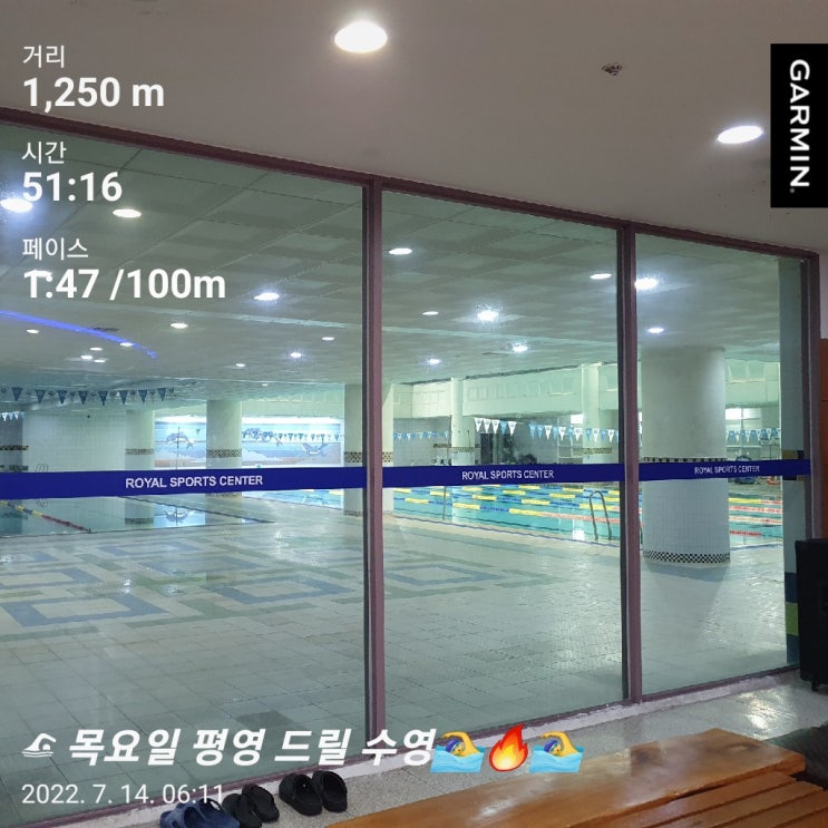  [수영일기] 7월 14일 이쁜 접영자세!