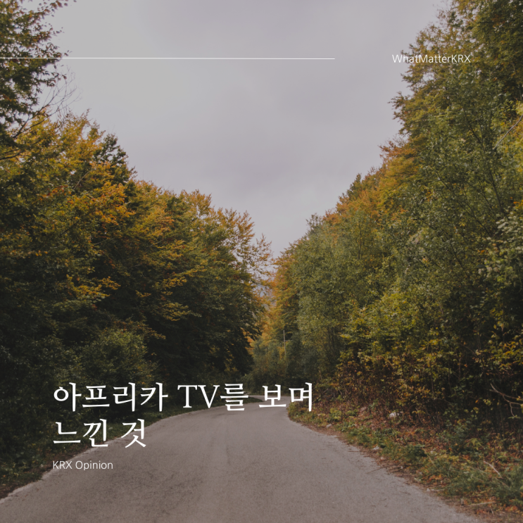  [종목]아프리카TV를 보면서 느낀 것
