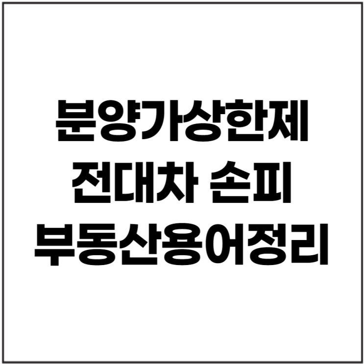  분양가상한제 전대차 손피 뜻