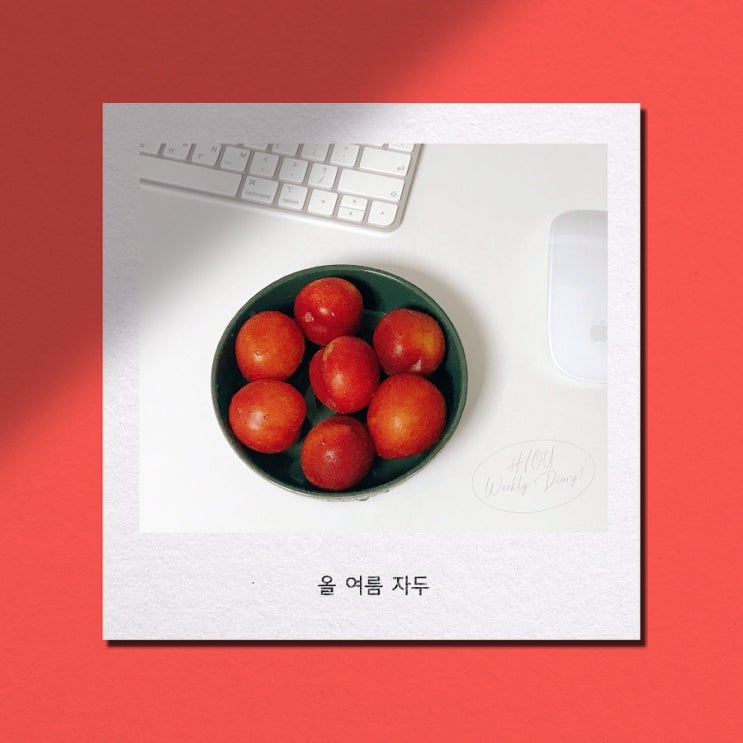  7-3. 여름 휴가 시즌