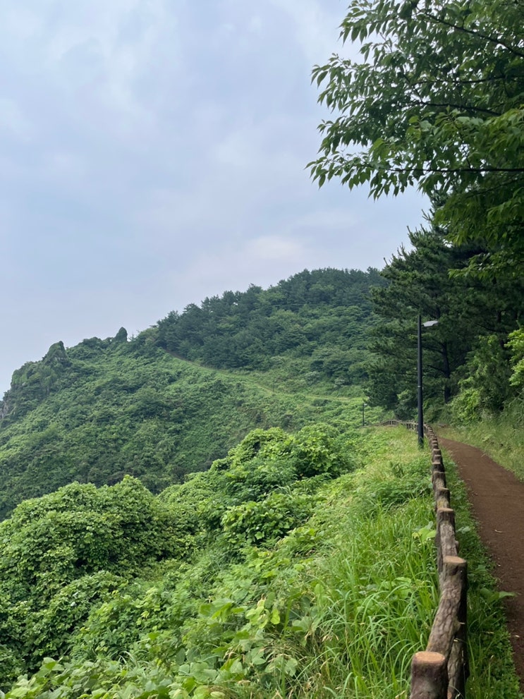  20220714 제주올레길18코스