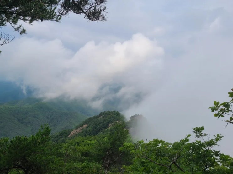 100대 명산, 충남 금산 진악산 최단 코스 등산(진악산 광장 주차장~진악산~원점)