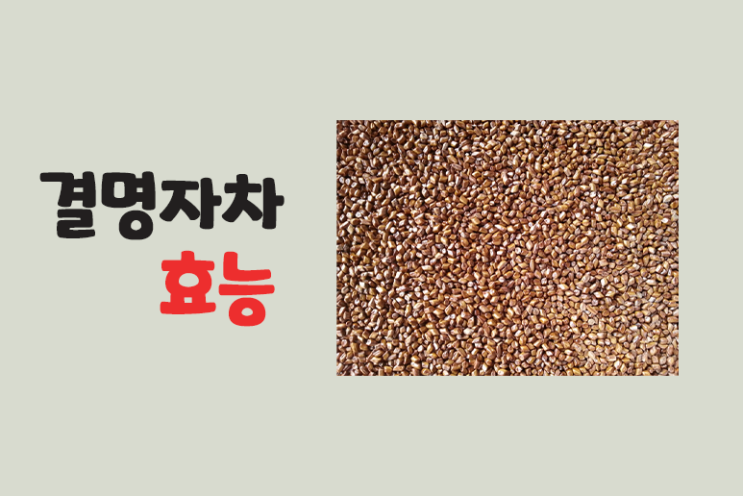  눈에 좋은 결명자 효능 결명자차 효능