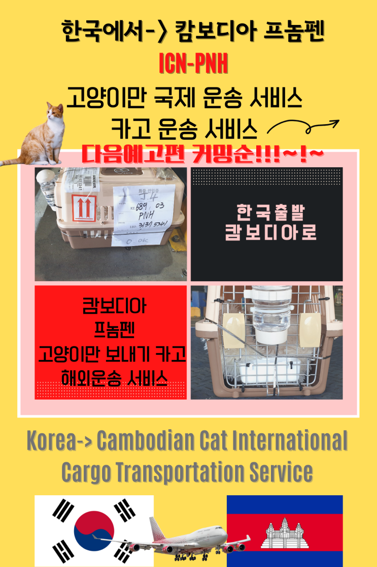  캄보디아 강아지 고양이 반려동물 해외운송