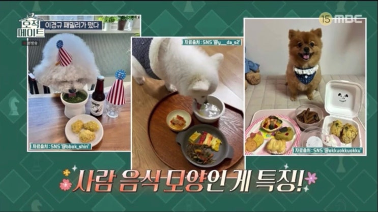  천안 MZ 강아지 수제간식 / 애견간식원데이클래스 가능한 곳 쿠키네상점