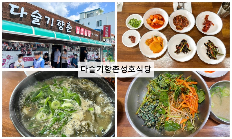 영월 해장국으로 성호식당 다슬기해장국 8