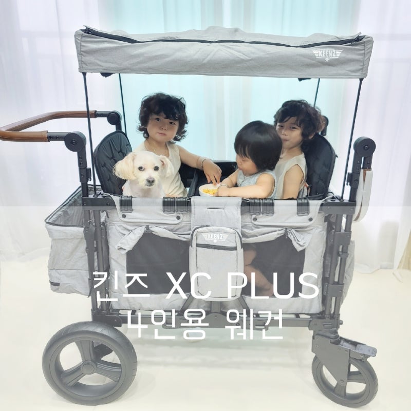 킨즈 4인용 웨건 후기 XC PLUS