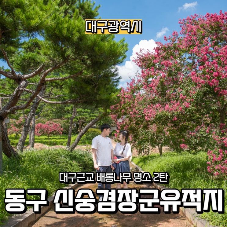  [대구광역시] 대구 동구 배롱나무 명소, 신숭겸장군유적지