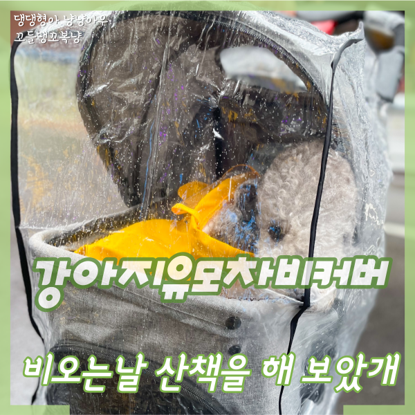  강아지 유모차 피카노리 레인커버 씌우고 비오는날 산책