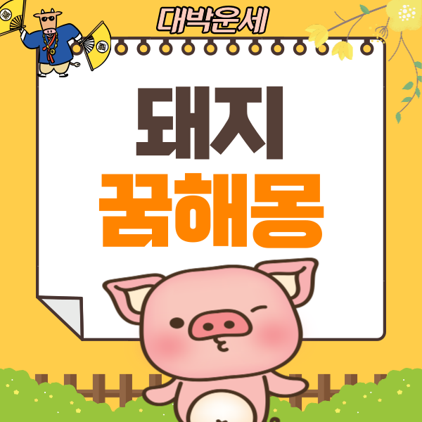  돼지꿈해몽 이렇게 많습니다