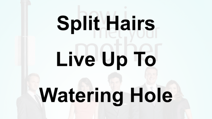 미드 박살내기 82일차: (1) Split Hairs (2) Live Up To (3) Watering Hole, 무슨 뜻일까? (영어 공부 혼자 하기, 미드 쉐도잉 자막 단어)