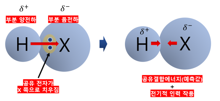  화학1 3단원 전기음성도와 부분 전하 개념 심층 분석