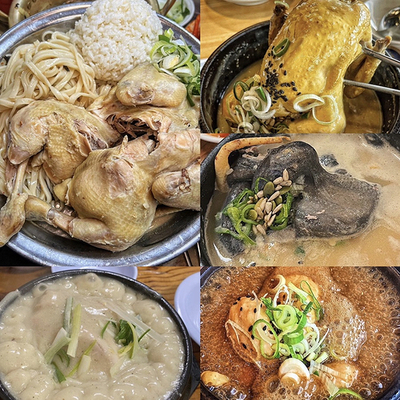  서울 삼계탕 맛집 추천 BEST7