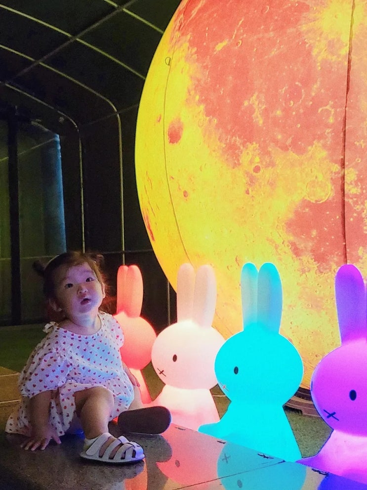  평택 아기랑갈만한곳/  캐니언파크평택/ 센트럴돔 분수광장