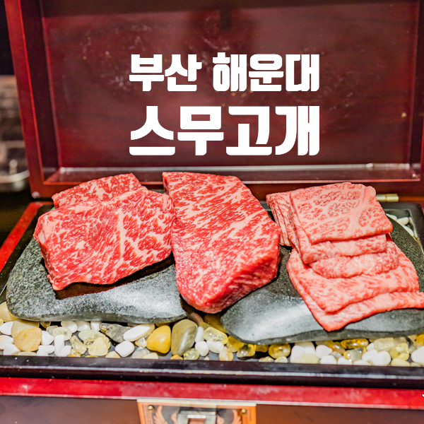  해운대 스무고개 오마카세 한우