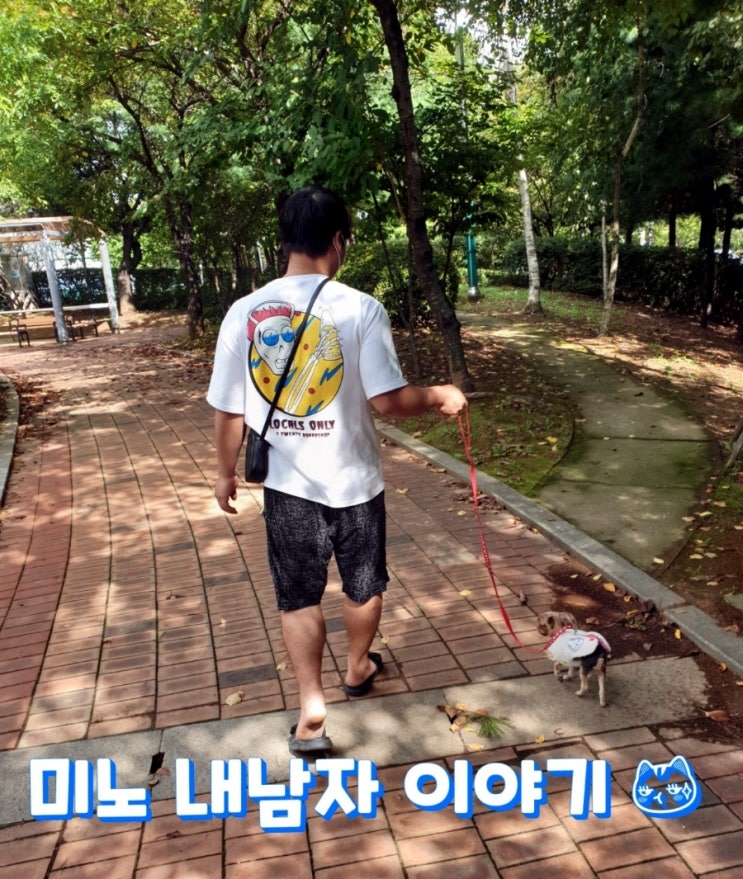  화해의 기술 / 말해뭐해 Ft.내남자 미노