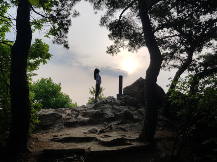  140~142) 간만의 탄츠 현대무용