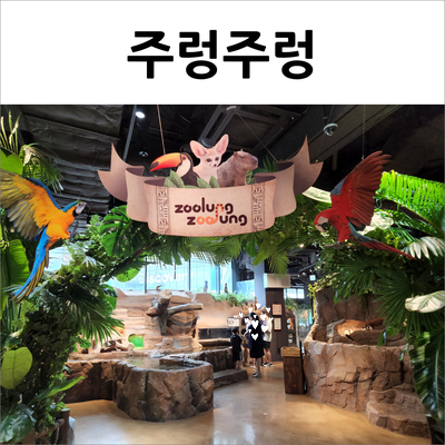  동탄 주렁주렁 실내동물원 평일 오후 더 많이 즐길수 있어요