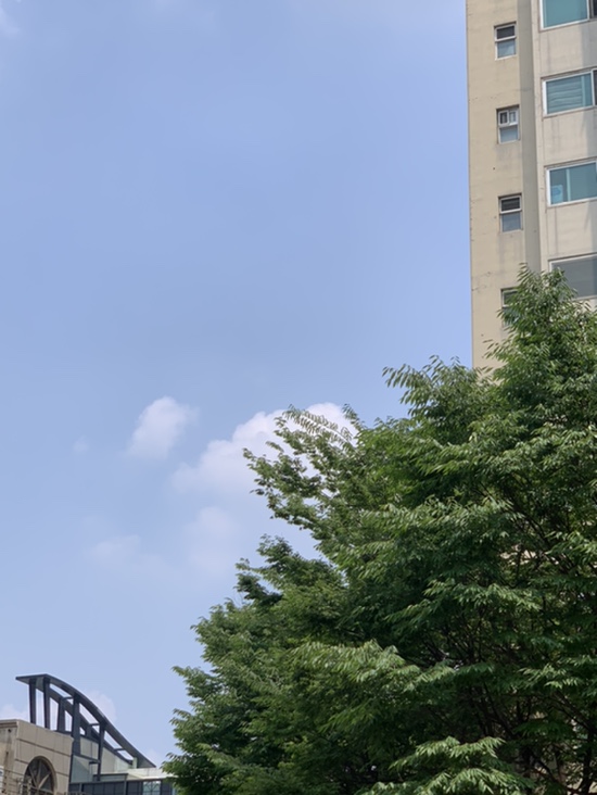  주간일기 : 7월 2주