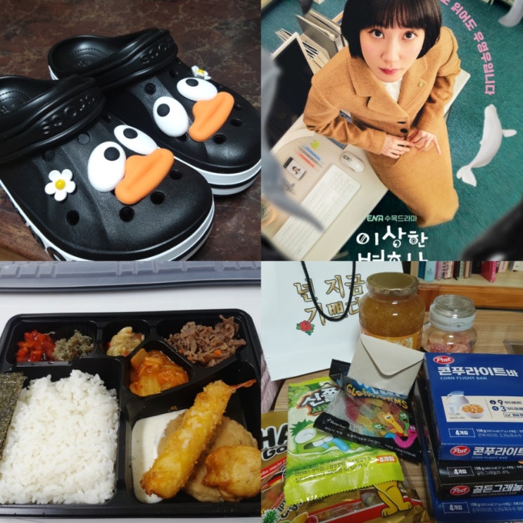  기러기 스위스 토마토 인도인 별똥별 우영우!!!