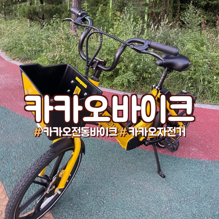  카카오 전동 자전거! 나도 타 봤다