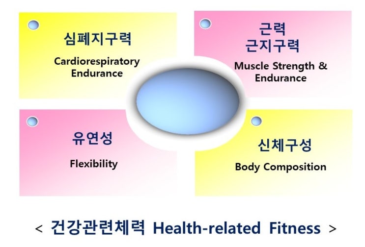  체력인가 체중인가, 사망율, 건강관련체력(심폐지구력, 근력, 유연성, 체구성)
