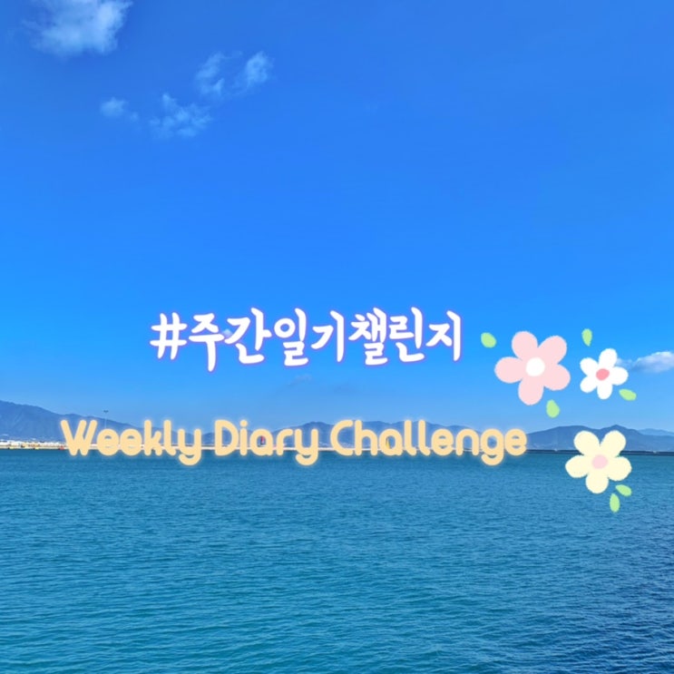  <7월2주>