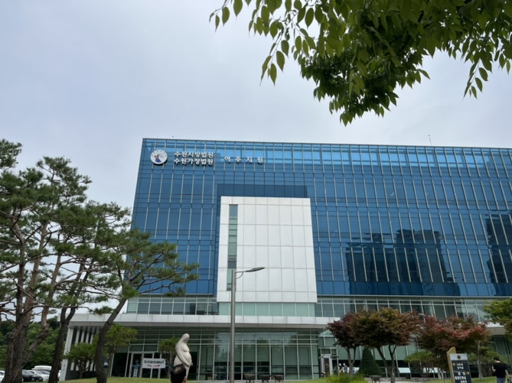  부동산 경매 입찰 타임라인