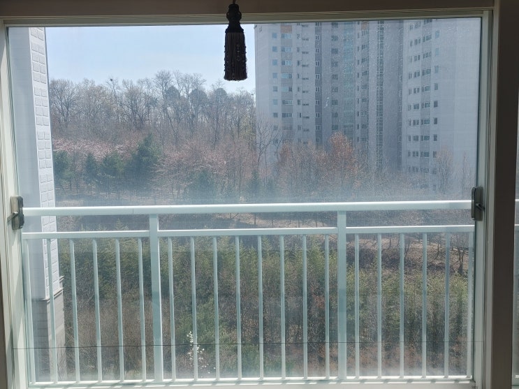 김포 아파트썬팅 구래동 장기동 양촌읍 아파트 창문 열차단썬팅 햇빛차단썬팅 자외선차단썬팅 단열필름썬팅 시공