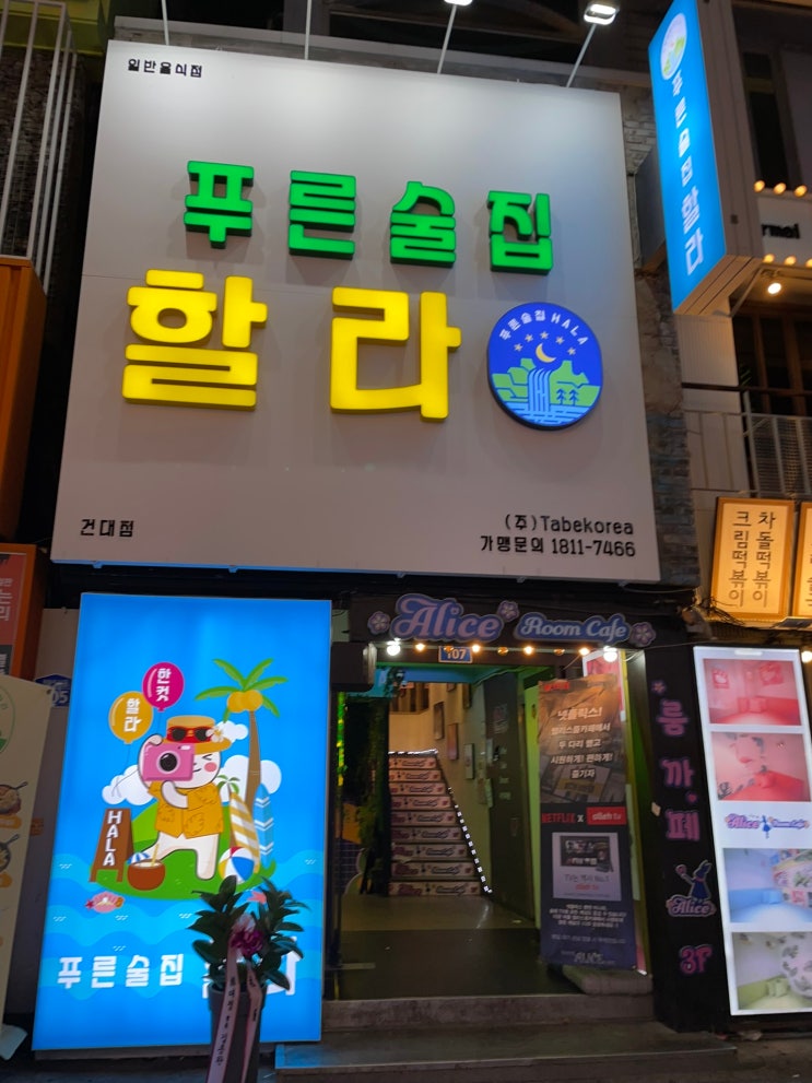  [푸른술집할라 건대점] 건대 제주컨셉 핫플 술집 내돈내먹 솔직후기