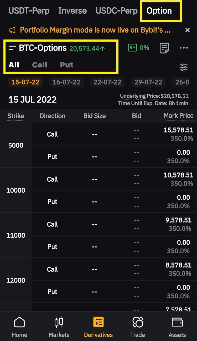 바이비트 USDC 선물 옵션 트레이딩 거래 오픈(콜옵션) : 네이버 블로그
