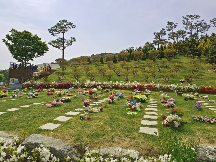  용인자연장 종류 잔디장 공동형 가족형