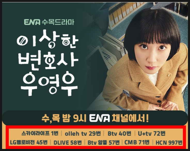 '이상한변호사 우영우'채널(ft.드라마볼수있는 곳,유선채널번호,넷플릭스,시즌)